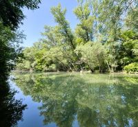 Ein von Grün umgebener Fluss in Gabčíkovo, Spiegelung der Bäume auf der Wasseroberfläche.