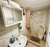 Ein Badezimmer in einer Hütte mit einem weißen Waschbecken, einem Spiegelschrank und einer Duschkabine.