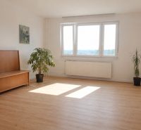 Wohnzimmer mit hellem Boden in Holzoptik und Pflanzen in einer Vierzimmerwohnung.