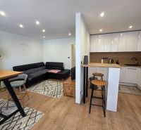 Wohnzimmer mit Küche in einer 3-Zimmer-Wohnung, Boden mit Holzdekor, Sitzgarnitur.