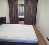 Schlafzimmer mit großem Schrank, Bett und Boden mit Holzdekor in einer 3-Zimmer-Wohnung.
