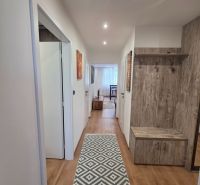 Flur in einer 3-Zimmer-Wohnung mit einem Boden in Holzoptik und einem Teppich mit geometrischem Muster.