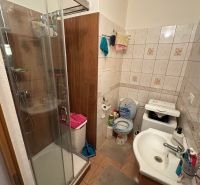 Badezimmer mit Dusche und Fliesen in einer Einzimmerwohnung.