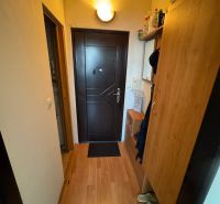 Der Flur in einer Einzimmerwohnung mit einem Holzboden und Möbeln.