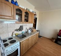 Küche in einer Einzimmerwohnung mit Holzboden und Küchenzeile.