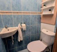 Badezimmer mit blauen Fliesen und Toilette in einer 2-Zimmer-Wohnung, Regale an der Wand.