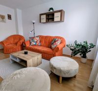 Wohnzimmer einer 2-Zimmer-Wohnung mit einem orangefarbenen Sofa, einer Pflanze und einem Boden in Holzoptik.