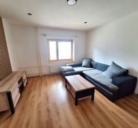 Wohnzimmer in einer 2-Zimmer-Wohnung mit Holzboden, Sofa und TV-Tisch.