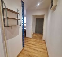 Der Flur in der 2-Zimmer-Wohnung mit Holzboden und einem Regal an der Wand.