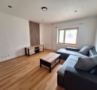 Wohnzimmer mit Ecksofa und Holzmöbeln in einer 2-Zimmer-Wohnung.