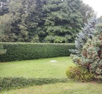 Garten bei einem Einfamilienhaus in Trebostovo mit einer Hecke und Rasen.