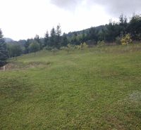 Ein Garten mit Blick auf den Wald und den Hang in der Umgebung eines Einfamilienhauses in Trebostovo.