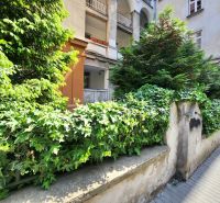 Ein Garten mit Kletterpflanzen und Bäumen auf dem Jakubovo námestie in Bratislava, Altstadt.