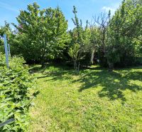 Der Garten des Einfamilienhauses in der Devátova-Straße in Sládkovičovo mit hohen Bäumen und Sträuchern.