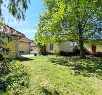 Der Garten vor dem Einfamilienhaus in der Devátova-Straße in Sládkovičovo mit einem großen Baum und Rasen.