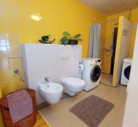 Badezimmer in einem Einfamilienhaus mit Waschmaschine, Bidet, gelben Fliesen und einer Pflanze auf dem Regal.