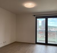 Wohnzimmer in einer Einzimmerwohnung mit Holzboden und großem Fenster zum Balkon.