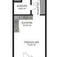 Grundriss einer 1-Zimmer-Wohnung mit Küche, Wohnzimmer, Badezimmer und Balkon.