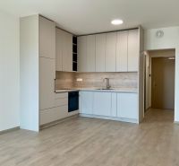 Moderne Küche in einer Einzimmerwohnung, helle Schränke, Boden mit Holzdekor, neutraler Stil.