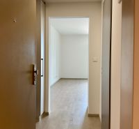 Eingangsflur einer Einzimmerwohnung mit Holzboden.