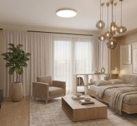 Einzimmerwohnung mit Sofa, Bett, Holzboden und Zimmerpflanze.