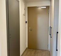 Eingangsflur in einer Einzimmerwohnung mit Holzboden und weißen Wänden.