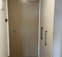 Eingangstür einer Einzimmerwohnung mit Holzboden und einem Schrank.