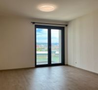 1-Zimmer-Wohnung mit Holzdekorboden und Balkontüren.