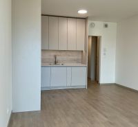 Küche in einer Einzimmerwohnung mit hellen Möbeln und einem Boden in Holzoptik.