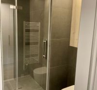 Badezimmer mit verglaster Duschkabine in einer Einzimmerwohnung und Handtuchheizkörper.