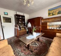 Wohnzimmer in einem Einfamilienhaus mit Teppich, Möbeln und einem Bild von Sonnenblumen.