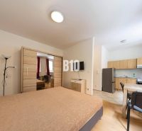 Studio mit Küche, Bett, Tisch und Kleiderschrank in Büros.