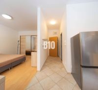Büros mit Einbauschrank, Bett und Küchenzeile.