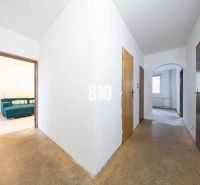 Der Flur in einer 4-Zimmer-Wohnung mit Blick auf das Zimmer mit Sofa, Boden mit Holzdekor.