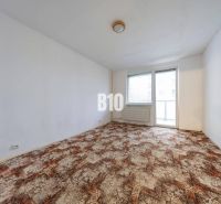 Wohnzimmer in einer 4-Zimmer-Wohnung mit Teppichboden und großem Fenster.