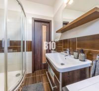 Das Badezimmer in der Zweizimmerwohnung hat eine Dusche und einen Waschtischunterschrank.