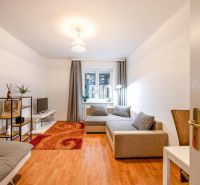 Wohnzimmer in einer 2-Zimmer-Wohnung mit Sofa, Fernseher und Holzboden.
