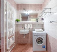 Badezimmer mit Waschmaschine, Waschbecken und Toilette in einer Zweizimmerwohnung. Frische Pflanzen verleihen Charme.