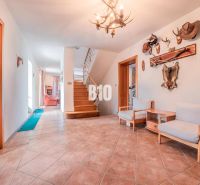Ein Flur in einem Einfamilienhaus mit einer Holztreppe, Möbeln und Jagdtrophäen an der Wand.