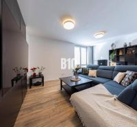 Wohnzimmer in einer 3-Zimmer-Wohnung mit einem blauen Sofa und einem Boden in Holzoptik.
