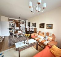Wohnzimmer in einer 3-Zimmer-Wohnung mit Holzboden, Teppich und bequemer Couch.