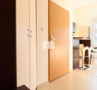 Eingangsbereich in einer 2-Zimmer-Wohnung mit Küche und Essbereich, Boden mit Holzdekor.