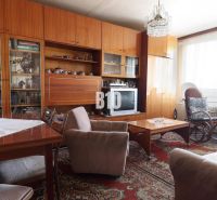Wohnzimmer in einer 3-Zimmer-Wohnung mit Retro-Möbeln, Teppich und Blumen auf dem Tisch.