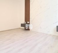 Innenraum einer 2-Zimmer-Wohnung mit Holzboden und dekorativer Wand.