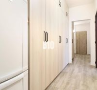Der Flur in einer 3-Zimmer-Wohnung mit einem Boden in Holzoptik und hellen Schränken.