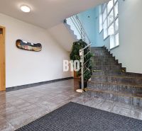 Innenraum eines Produktionsraums mit Treppe, Pflanze und Holztüren.