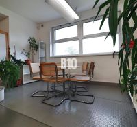 Innenraum von Produktionsräumen mit Tisch, Stühlen und Pflanzen auf dem Boden.