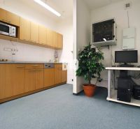 Eine Küchenzeile in Produktionsräumen mit Holzelementen, ein Computer und eine Pflanze im Blumentopf.