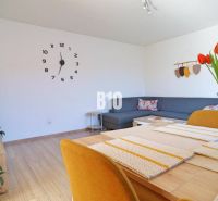 Wohnzimmer mit Holzdekorboden, bequemer Couch und Vase mit Tulpen.