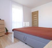 Schlafzimmer mit Bett, Schrank und Pflanzen auf dem Boden mit Holzdekor in einem Einfamilienhaus.